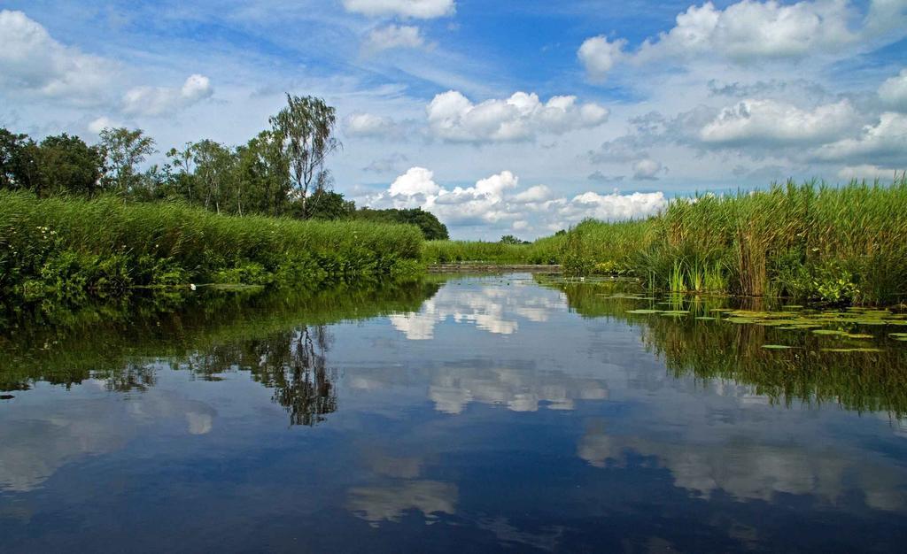 B&B Fam. Elzinga Nieuwkoop Exteriér fotografie